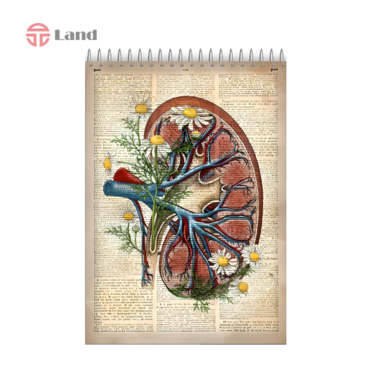 دفتر نقطه ای سیمی 80 برگ نئوپک طرح کلیه A4