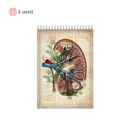 دفتر یادداشت 80 برگ نئوپک طرح کلیه سایز A5