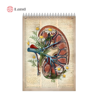 دفتر 80 برگ نئوپک طرح کلیه سایز A4